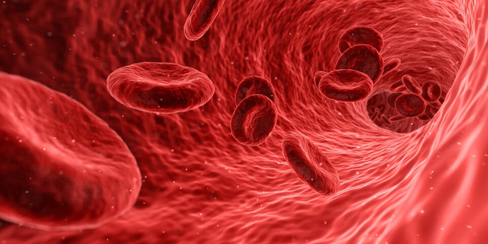 Quem toma anticoagulante pode tomar colágeno?