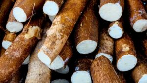 Mandioca tem colágeno?